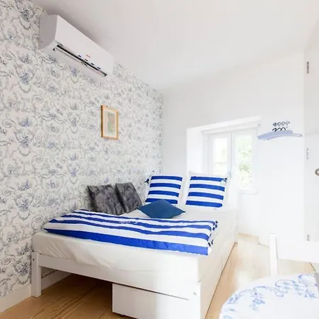 Sao Vicente Iii *